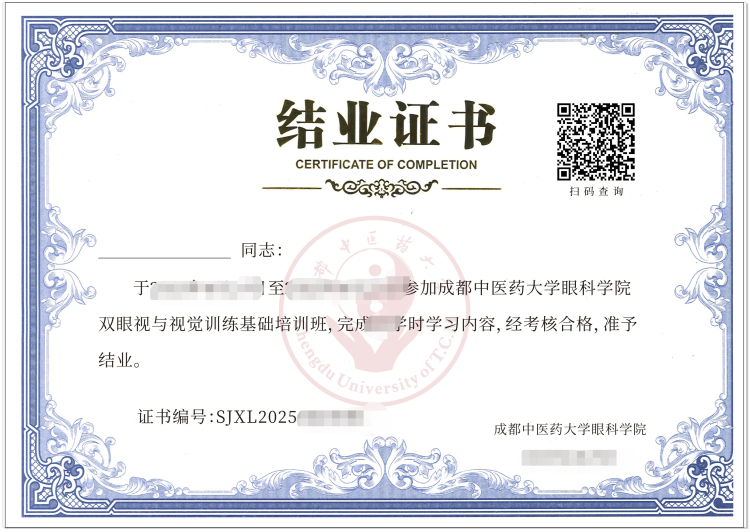 视觉训练证书模板